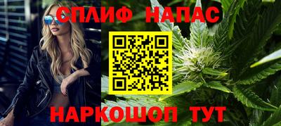 spice Гусиноозёрск