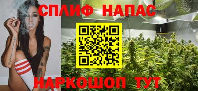 ПСИЛОЦИБИНОВЫЕ ГРИБЫ Гусев