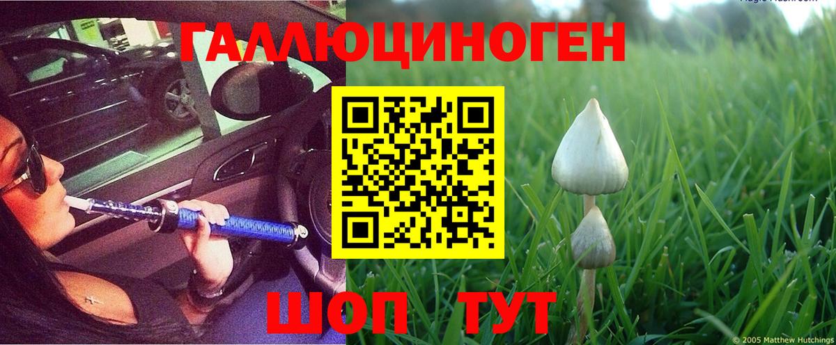 Галлюциногенные грибы MAGIC MUSHROOMS  Псилоцибиновые грибы MAGIC MUSHROOMS  Вход с VPN  Воронеж 